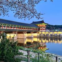 Südkorea Highlights mit One Life Adventures 10 Tage Reise-Foto #1