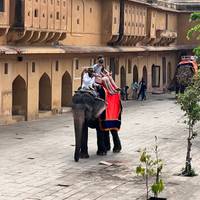 Photo de voyageur Circuit du Triangle d