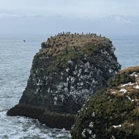 Snæfellsnes & Südküste 5 Tage Reise-Foto #1