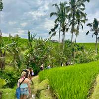 Photo de voyageur Introduction à Bali - 12 Jours #2