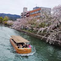 Photo de voyageur Japon classique 14 jours - One Life Adventures #2