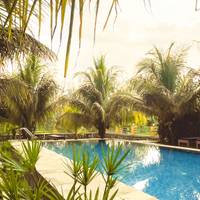 Splendour Of Sri Lanka (7 Days) Upgrade to Private Tour Available traveler photo #1