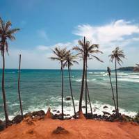 Splendour Of Sri Lanka (7 Days) Upgrade to Private Tour Available traveler photo #3