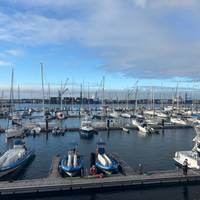 Aventura de Avistamiento de Ballenas en las Azores: Descubre a los Gigantes del Atlántico: foto del viajero #2