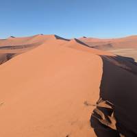 Cape & Dunes Southbound: Desert Camping & Safari Drives traveler photo #2