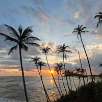 Photo de voyageur Sri Lanka 14 jours - Circuit classique tout en un #1