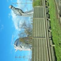 Outlander Trail ab Edinburgh (inklusive Eintritte) Kleingruppenreise - 4 Tage Reise-Foto #1