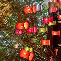 Essential Vietnam: Hanoi, Halong Bay and Beyond 5-Day traveler photo #1