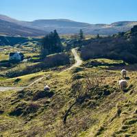 Highland Entdeckungsreise: Skye & Far North Kleingruppenreise ab Edinburgh - 5 Tage Reise-Foto #3