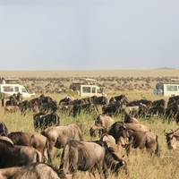 Photo de voyageur Safari terrestre au Kenya et en Tanzanie - 14 jours #2