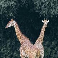 Kenia und Tansania Abenteuerreise - 10 Tage Reise-Foto #2