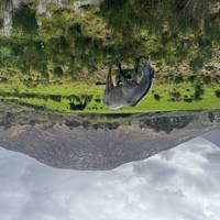 Acantilados de Moher, Connemara y las islas Aran - Viaja al oeste en tren: foto del viajero #3