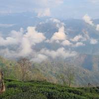 Betoverende natuur!!! Het noordoosten van India: foto van de reiziger #1