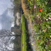 Dublin mit Giants Causeway, Cliffs of Moher, Galway City & Cahir Castles 5 Tage Reise-Foto #2