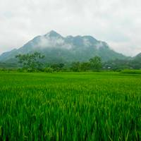 Photo de voyageur Vietnam classique 12 jours - One Life Adventures #2