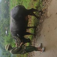 Photo de voyageur Vietnam classique 12 jours - One Life Adventures #3