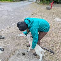 Super Zuid-Ierland - 5 dagen: foto van de reiziger #2