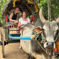 Photo de voyageur Sérénade au Sri Lanka : Odyssée de la nature, de la culture et de la faune Tout compris #3