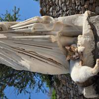 Gallipoli & Türkei Rundreise (7 Tage) Reise-Foto #2