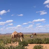 FROM MARRAKECH: 4-Days Blue Turbans Tour With GROUP To Erg Chigaga traveler photo #2