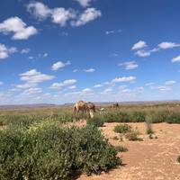 FROM MARRAKECH: 4-Days Blue Turbans Tour With GROUP To Erg Chigaga traveler photo #3