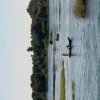 5* Nijlcruise – vanaf Caïro per vlucht – 5 dagen: foto van de reiziger #3