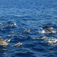 Die Pracht Sri Lankas - 8 Tage Reise-Foto #1