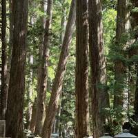 Japan Abenteuer 13 Tage Reise-Foto #1