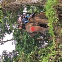 Las Mejores Vacaciones Familiares de Nepal: Katmandú, Everest, Nagarkot, Pokhara y Chitwan - 10 Días: foto del viajero #2