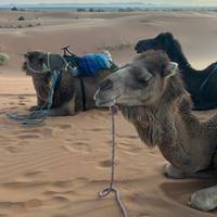 Marokko in der Wüste – Schluchten & Sahara Reise-Foto #2