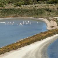 7 Daagse Gran Tour van Sardinië en Corsica vanuit Olbia: foto van de reiziger #1