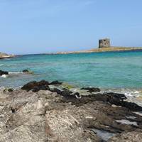 7 Daagse Gran Tour van Sardinië en Corsica vanuit Olbia: foto van de reiziger #3