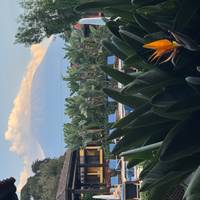 Magical Guatemala in 6 days traveler photo #1