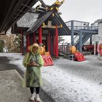 Schitterend Japan – een privéreis – 3*-hotels – van Osaka naar Tokio – 8 dagen: foto van de reiziger #2