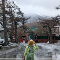 Schitterend Japan – een privéreis – 3*-hotels – van Osaka naar Tokio – 8 dagen: foto van de reiziger #3