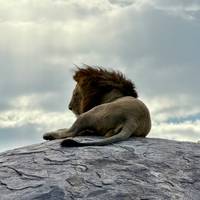 Tansania: Migration Safari - 6 Tage Reise-Foto #3