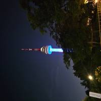 Photo de voyageur 12 jours d