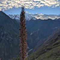 Caminata de Choquequirao a Machu Picchu 6 días / 5 noches: foto del viajero #1