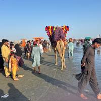 Pakistan In Depth Exploratory Tour traveler photo #1