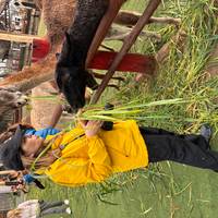 Photo de voyageur Visite de Cusco, de la Vallée Sacrée et du Machu Picchu - 3 jours / 2 nuits #3