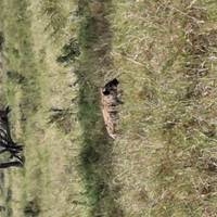 Photo de voyageur Safari classique Big Five en Tanzanie **Approche de voyage durable #3