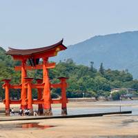 7 Day Japan Educational（Private Guide and Driver）- Umetravel traveler photo #1
