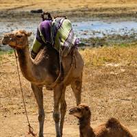 Schleife von Porto nach Marrakesch - 18 Tage Reise-Foto #1