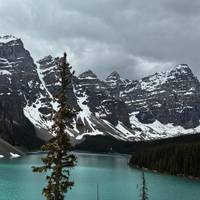 Explora las Rocosas Canadienses en 5 Días: Excursión a los Parques Nacionales de Banff, Jasper y Yoho: foto del viajero #2