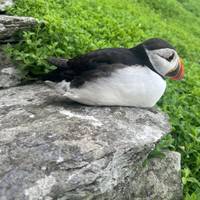 Irland nach Island Kleingruppentour durch Irland - 7 Tage Reise-Foto #2