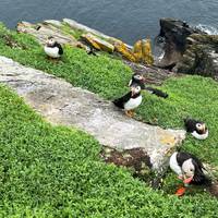 Irland nach Island Kleingruppentour durch Irland - 7 Tage Reise-Foto #3