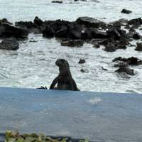 Galápagos – een multisport-avontuur: foto van de reiziger #3