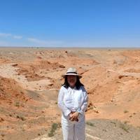 Festival Naadam: foto del viajero #1