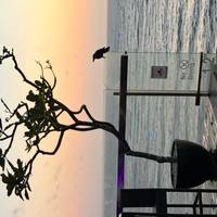Het beste van Sri Lanka: foto van de reiziger #1