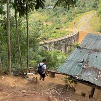 Het beste van Sri Lanka: foto van de reiziger #3